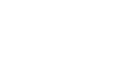 BRI Logo
