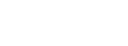 BRI Logo